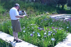 activities2002hillswatergardens (7)