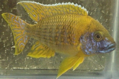 ultraaqua2002 (26)