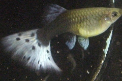 ultraaqua2002 (29)