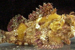 ultraaqua2002 (37)