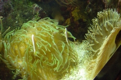 activities2007pittsburghzoo (0)