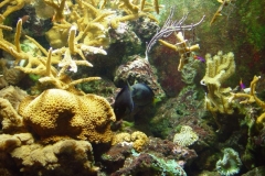 activities2007pittsburghzoo (1)