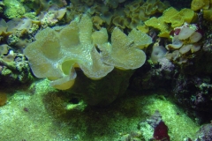 activities2007pittsburghzoo (3)