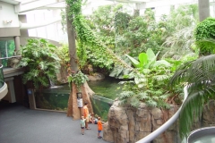 activities2007pittsburghzoo (5)