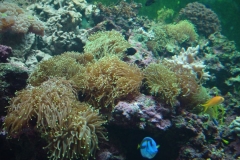 activities2007pittsburghzoo (6)