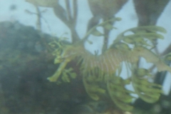 activities2008clevelandzoo (0)