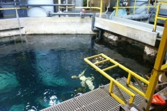 activities2008clevelandzoo (10)