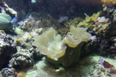 activities2008clevelandzoo (15)