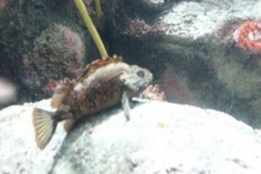 activities2008clevelandzoo (19)