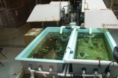 activities2008clevelandzoo (25)