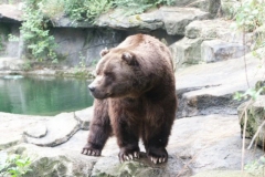 activities2008clevelandzoo (26)