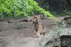 activities2008clevelandzoo (30)