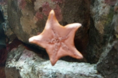 activities2008clevelandzoo (5)