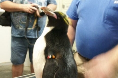 activities2008clevelandzoo (7)