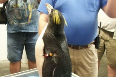 activities2008clevelandzoo (8)