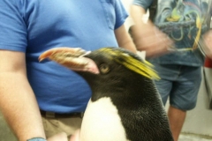 activities2008clevelandzoo (9)