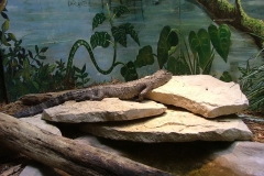 activities20081005ToledoZoo (125)