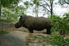 activities20081005ToledoZoo (199)