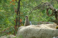 activities20081005ToledoZoo (200)
