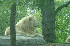 activities20081005ToledoZoo (203)