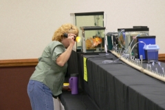 ultraaqua2009 (17)
