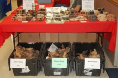 fallaction2012 (3)