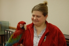 springauction2012 (4)