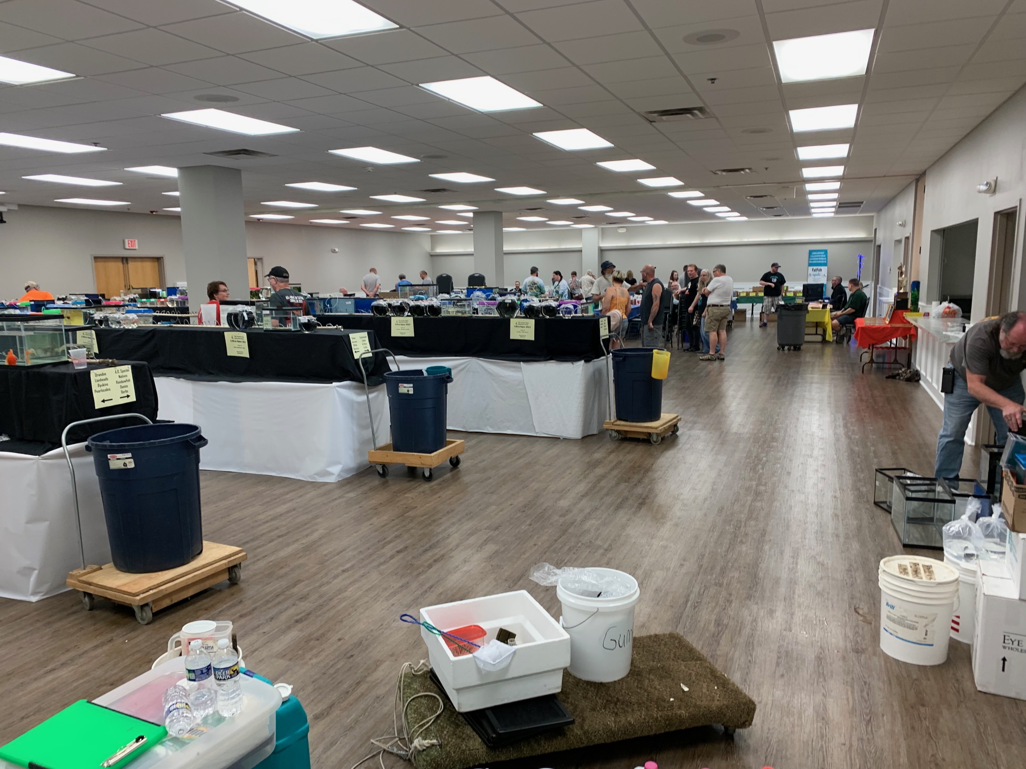 Greater Akron Aquarium Society Aquarium Hobbyists of Greater Akron Ohio